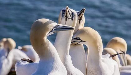 广西“奔驰亮证姐”引爆舆论 网友为何不信官方通报？