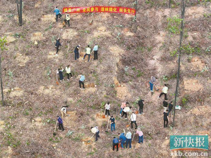 2020年以来 广东发现动植物新种超60种