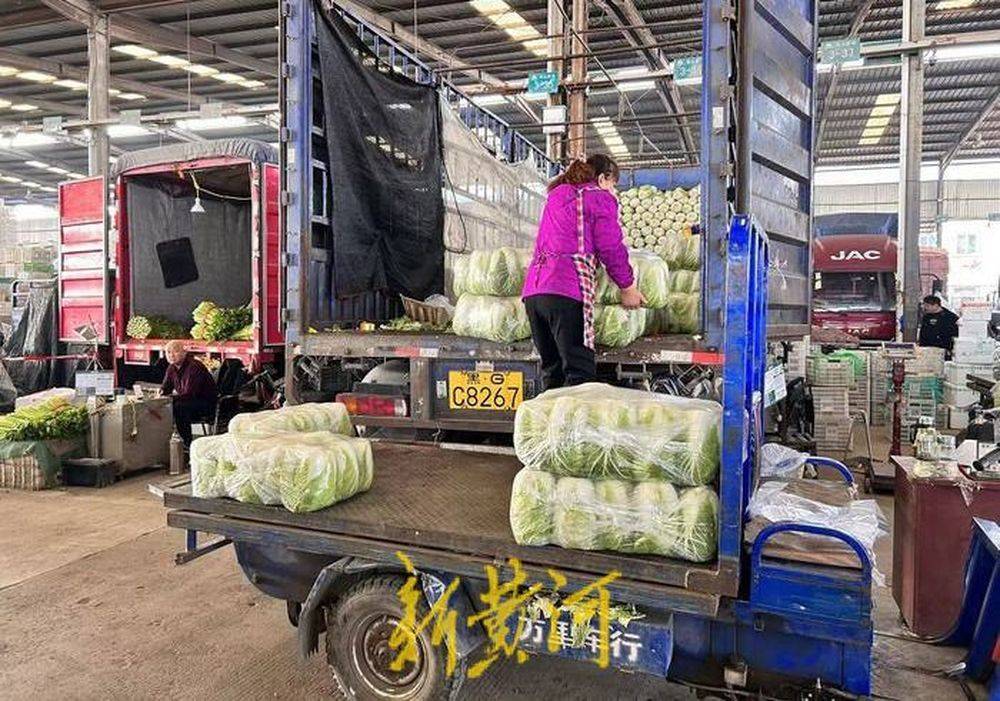 15种常规蔬菜无一涨价，济南菜价连续三周环比下降 | 新黄河探市