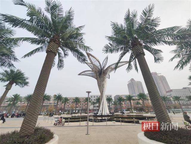 实探“山西清徐违规花上千万建景观”：剩100多棵仿真椰树已暂停拆移