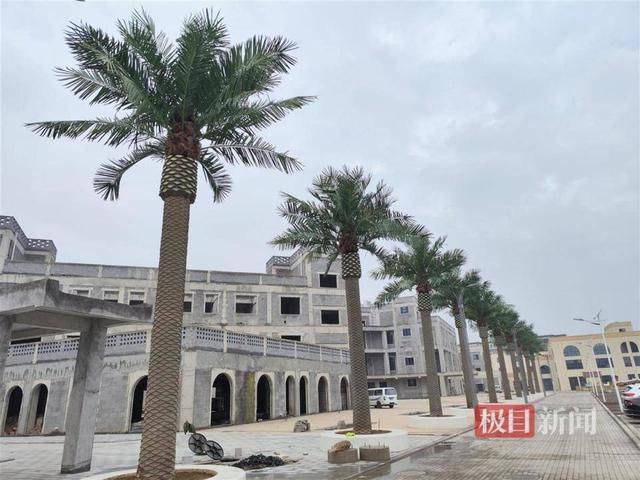 实探“山西清徐违规花上千万建景观”：剩100多棵仿真椰树已暂停拆移