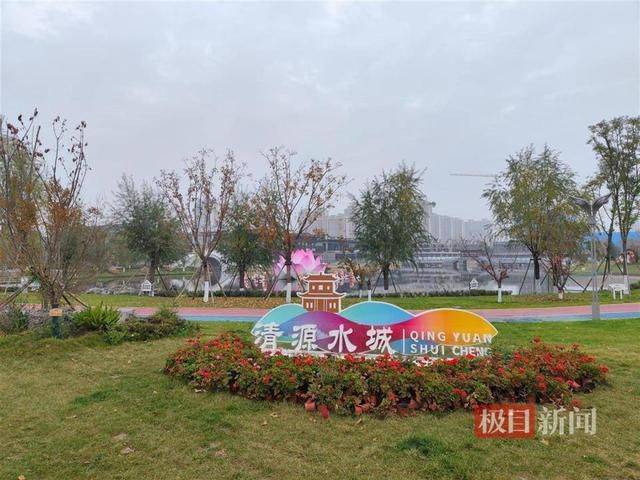 实探“山西清徐违规花上千万建景观”：剩100多棵仿真椰树已暂停拆移