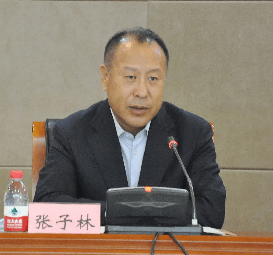 当过省纪委办公厅主任、市纪委书记、市长等，张子林在党的十八大、十九大乃至二十大后仍不收敛、不收手、不知止，性质严重，影响恶劣