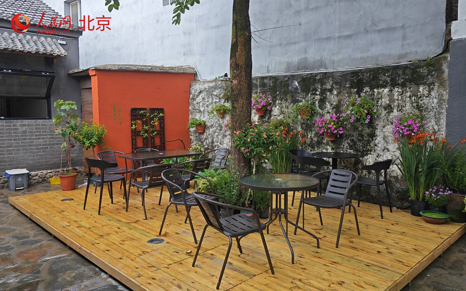 这个老村子真的“活”了