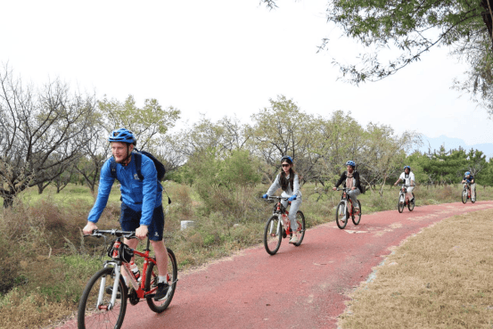 北京市国际学生国情教育项目在延庆举办