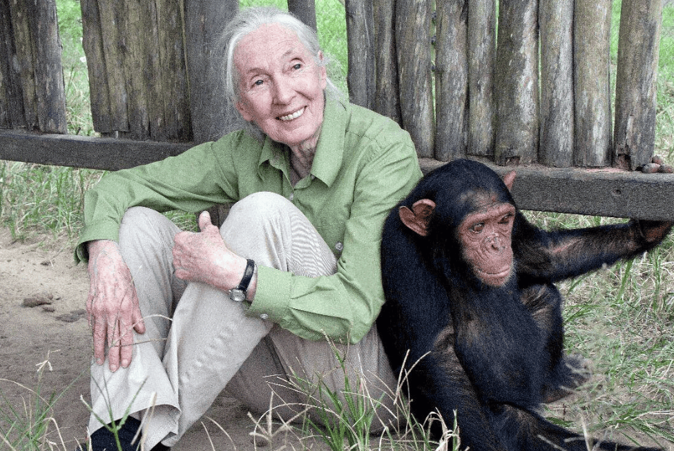 91岁传奇女科学家去世：没学士学位的剑桥博士，科学发现颠覆人类认知，每年300天全球演讲