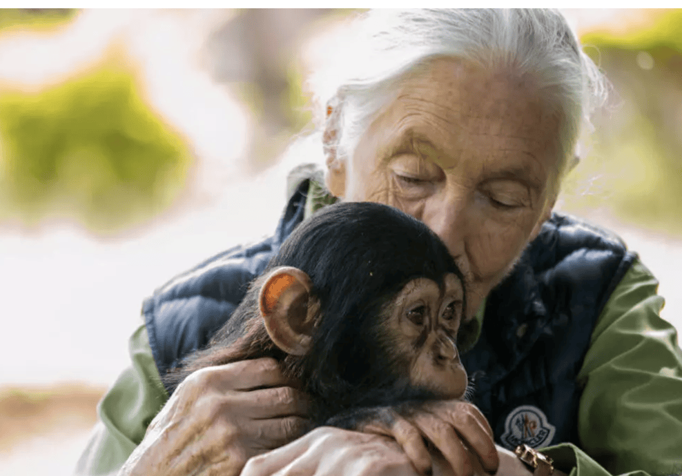 91岁传奇女科学家去世：没学士学位的剑桥博士，科学发现颠覆人类认知，每年300天全球演讲