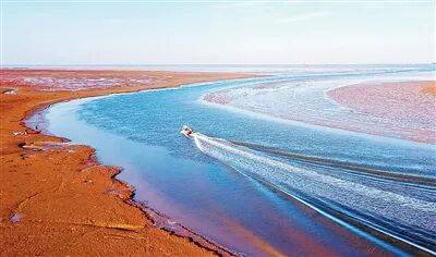 生态文明建设实现新进步（新时代画卷·决战决胜“十四五”）