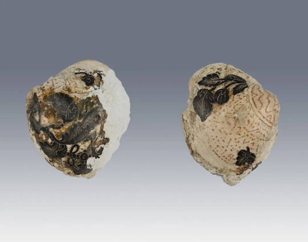 最新公布！陕西发现唐朝名相张九龄夫人墓