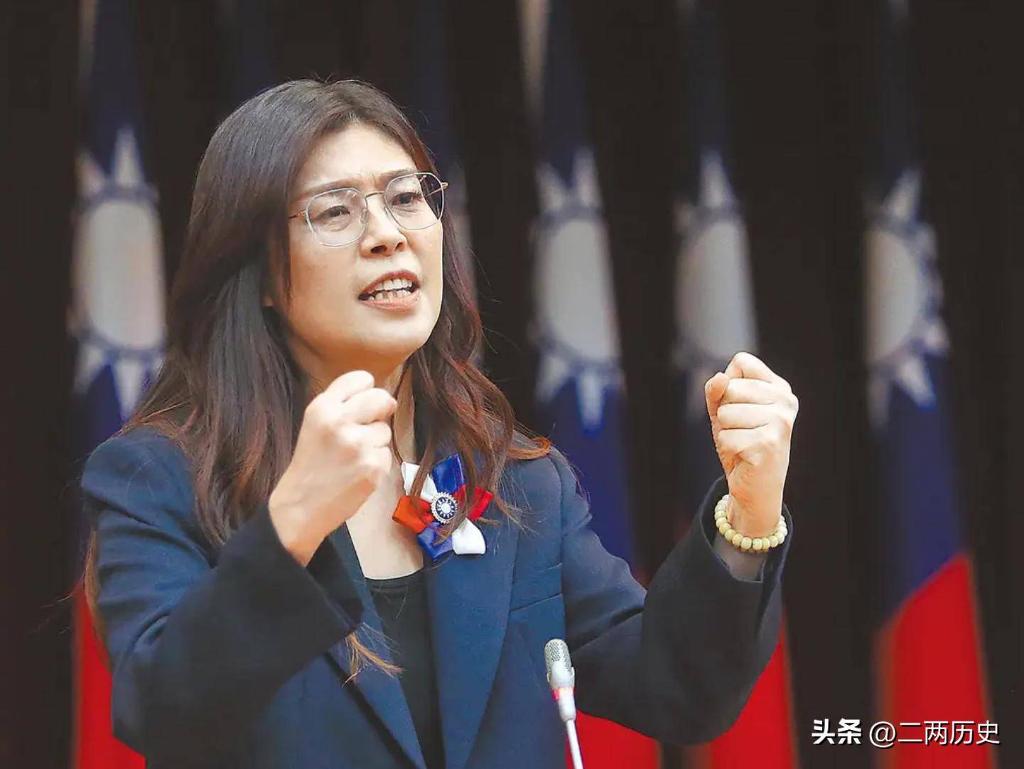 郑丽文人间清醒：如果去大陆，能见到谁不重要，重要的是代表谁去