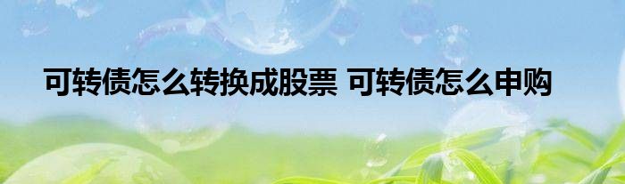 证券可转债(证券可转债是什么意思)