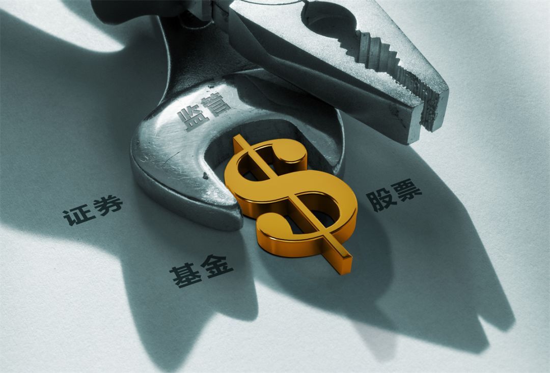 证券会处罚(证券会处罚案例)
