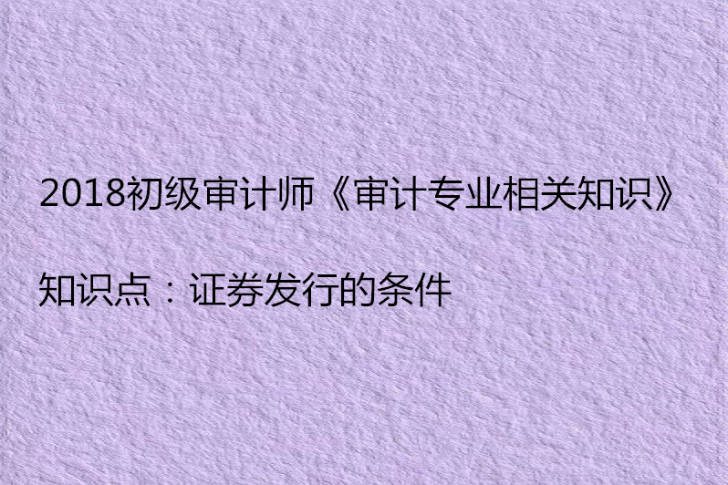 证券公司审计(证券公司审计案例分析)