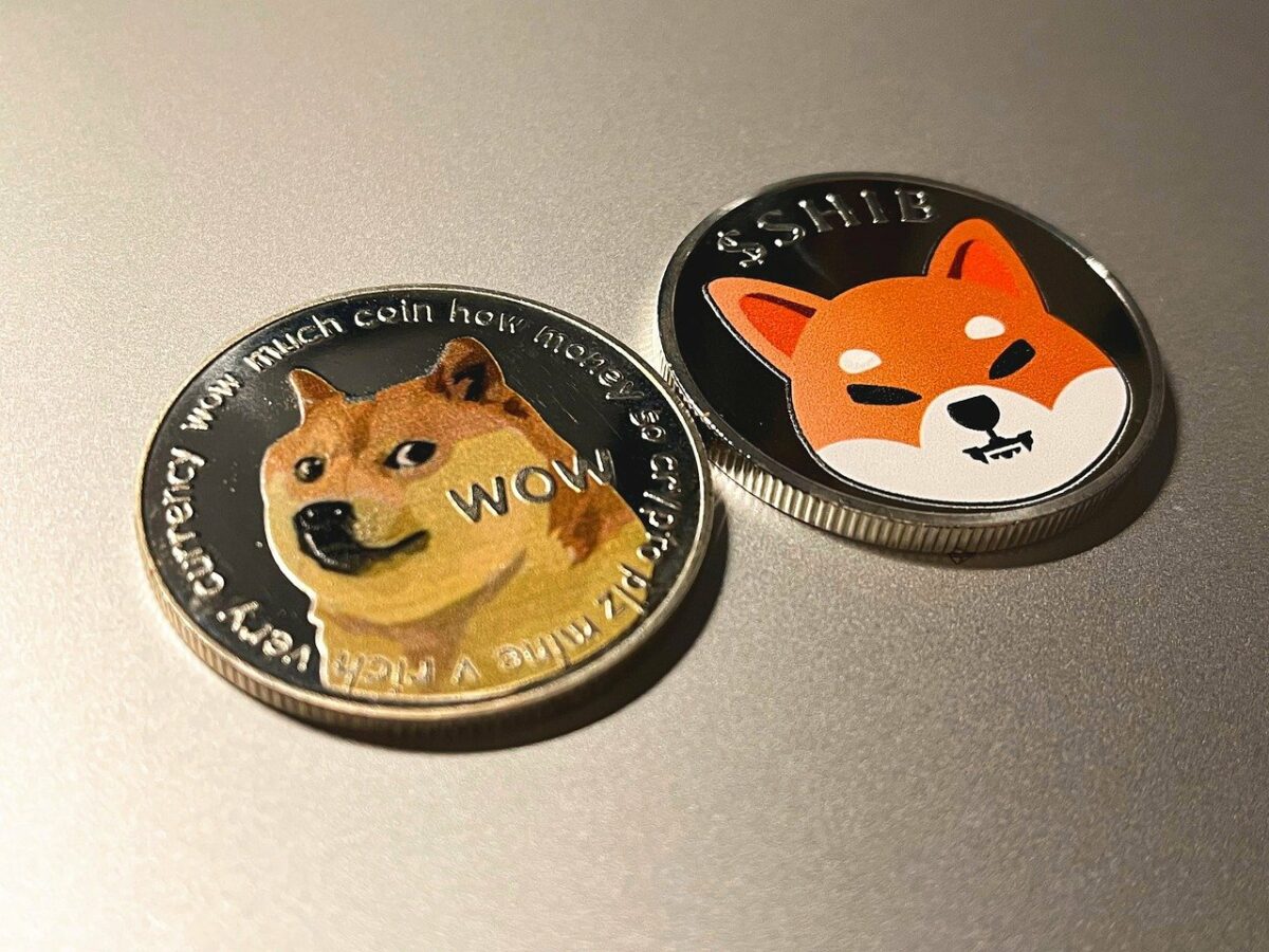 DOGE币(aidoge币)
