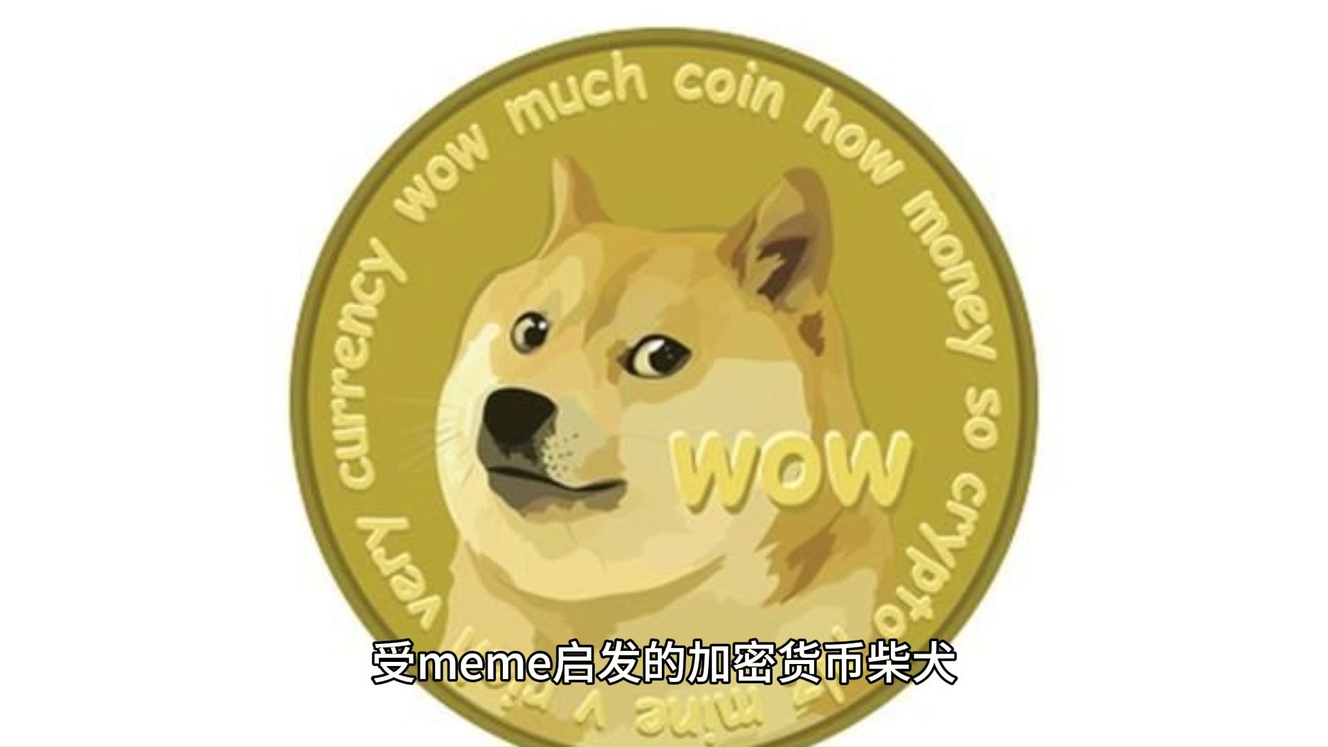 SHIB币最新消息(shib币最新消息和价格)