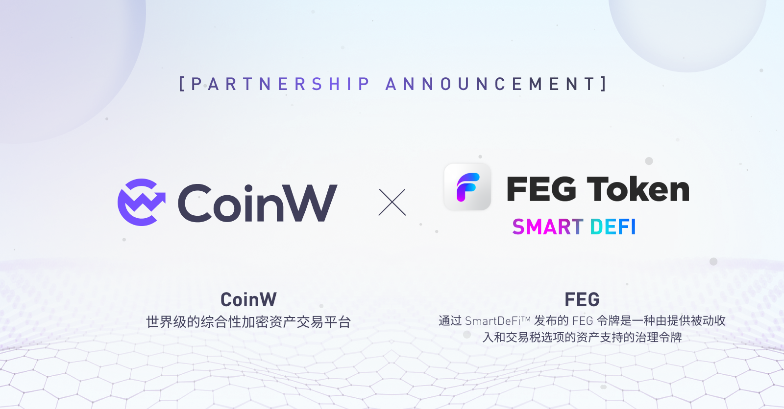 FEG币(feg币今日价格行情)