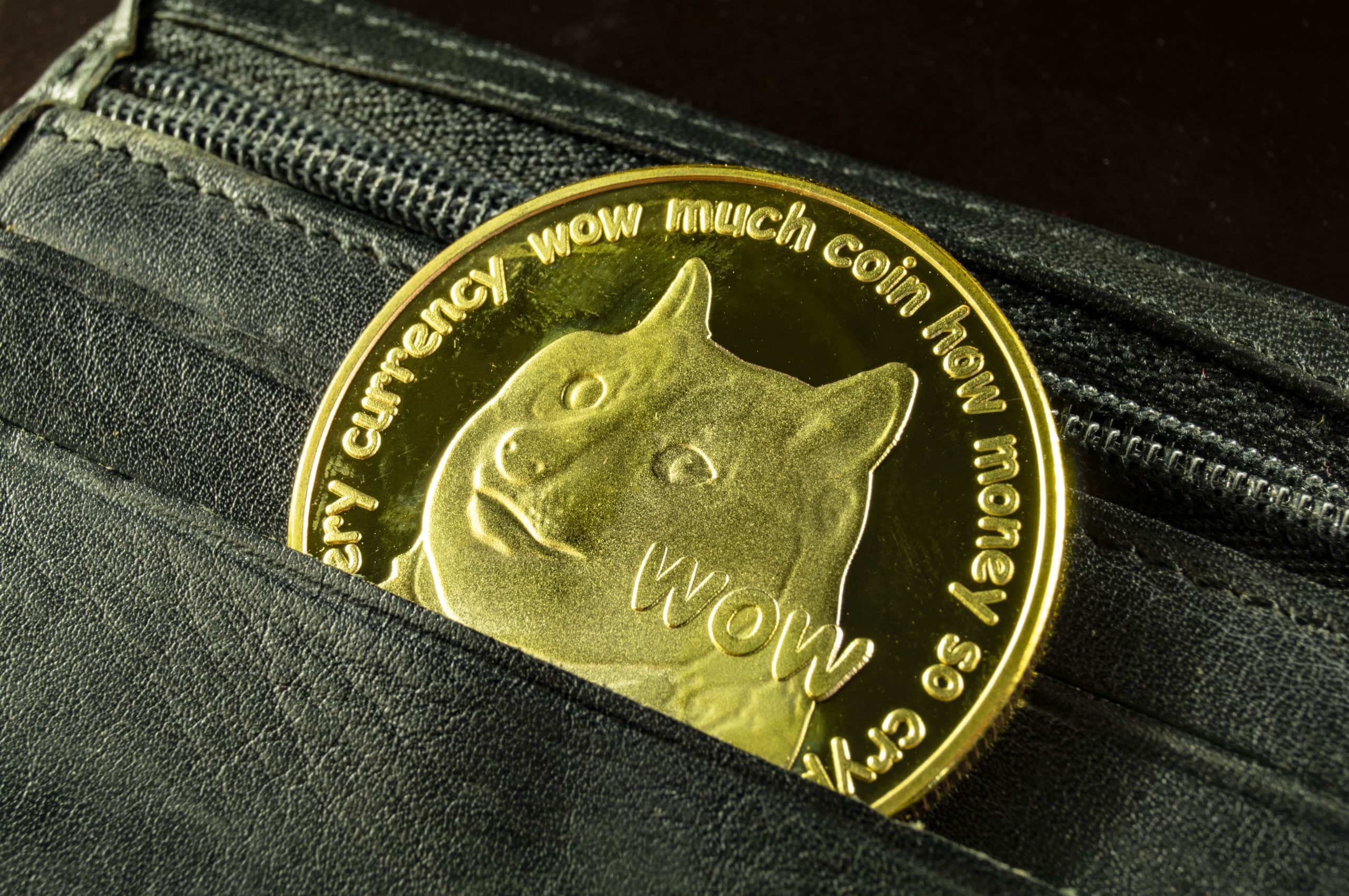 DOGE币(币圈十大交易所app下载)