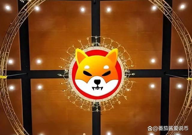 屎币(屎币今日行情价格)
