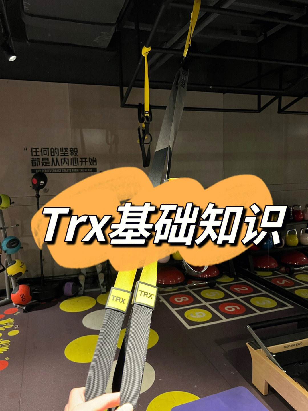 TRX(trx波场币)
