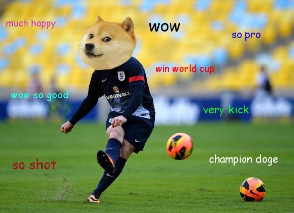 DOGECOIN(dogecoin交易所地址)