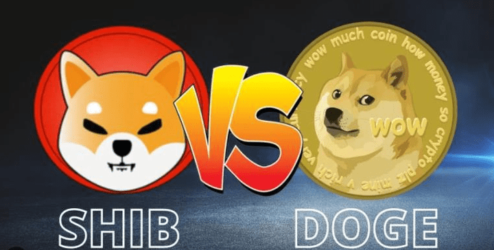 DOGE币(虚拟币交易哪个平台好)