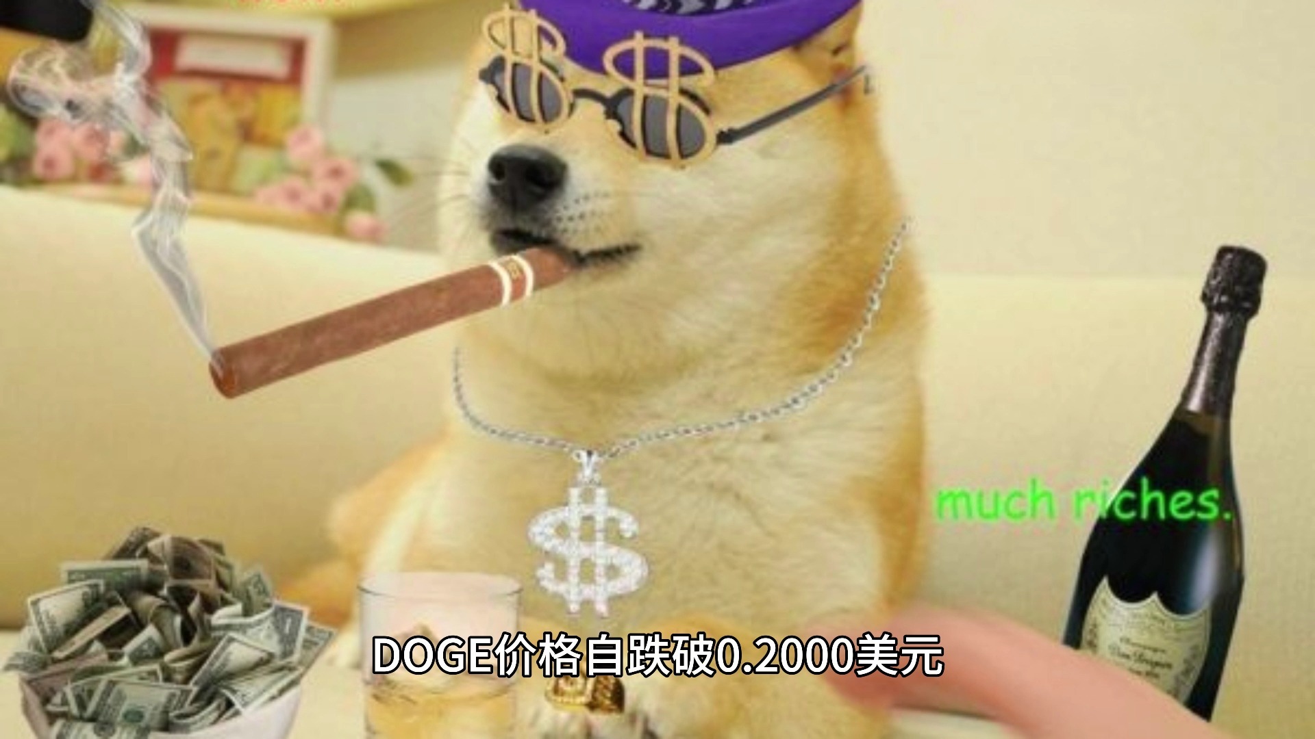 DOGE币(dogecoin币)