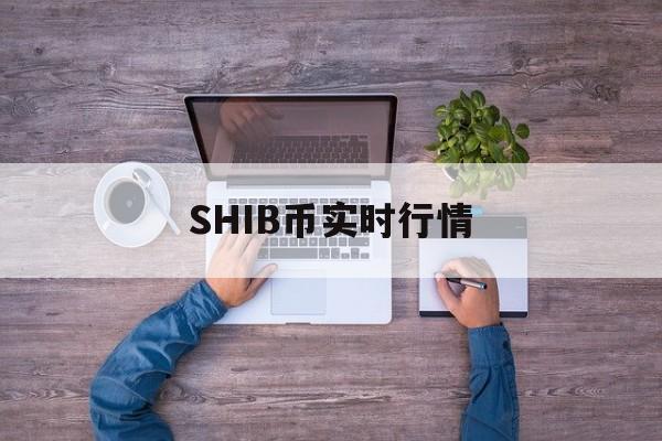 SHIB币实时行情(shib币价格今日行情图)